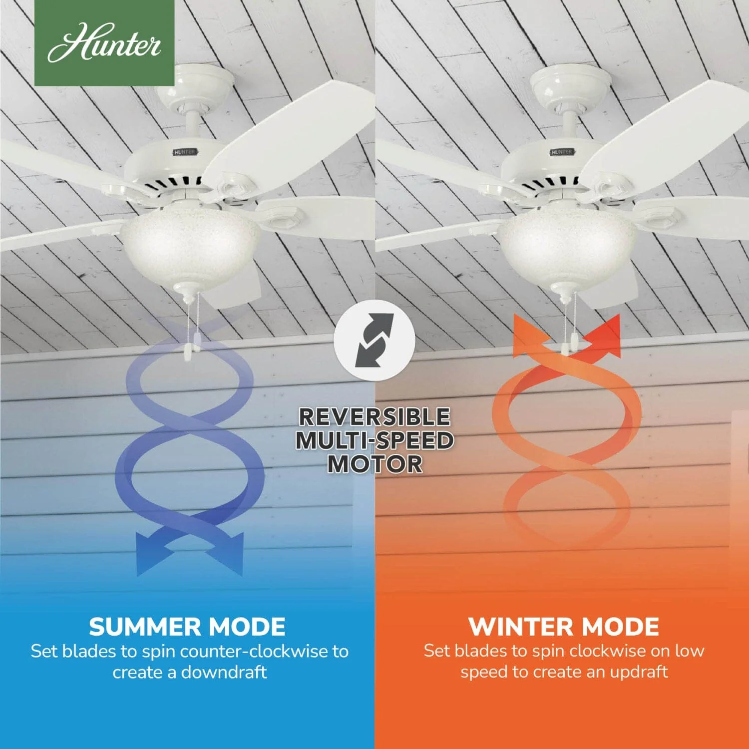 Builder Deluxe with Light 52 inch 19 Builder Deluxe with Light 52 inch