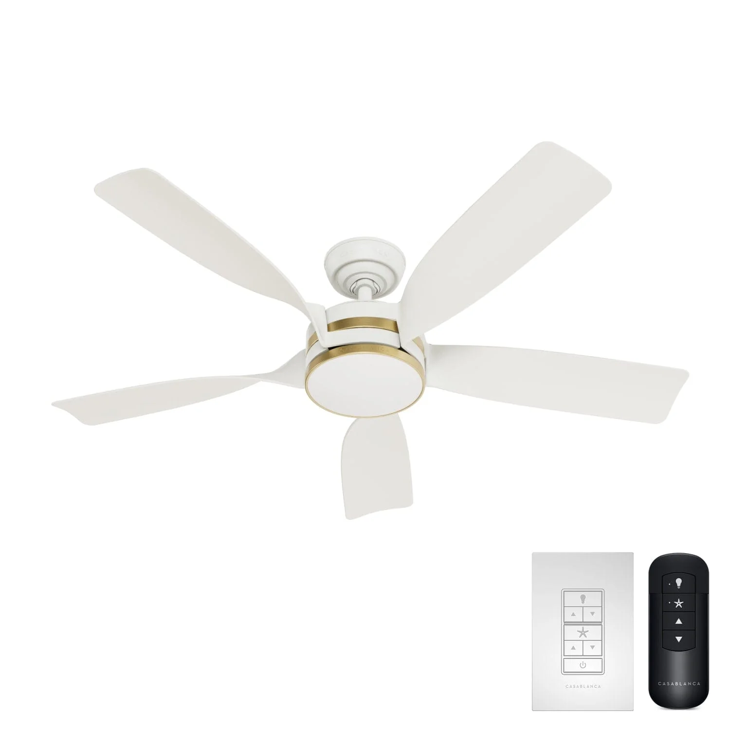 Julia Outdoor Energy Star DC with LED Light 52 inch with remote and wall control