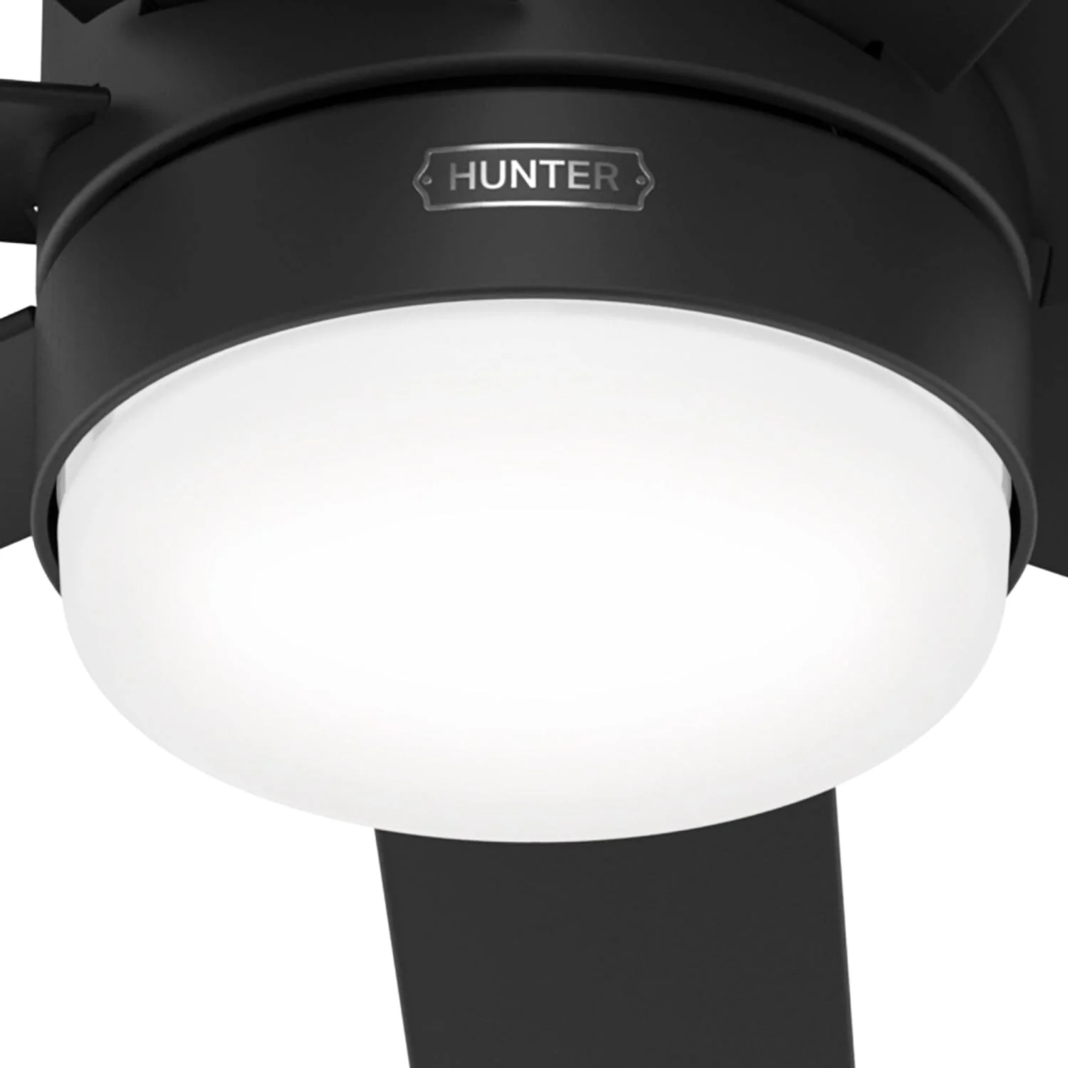 Brazos Outdoor ENERGY STAR with LED Light 52 inch 30 Brazos Outdoor ENERGY STAR with LED Light 52 inch