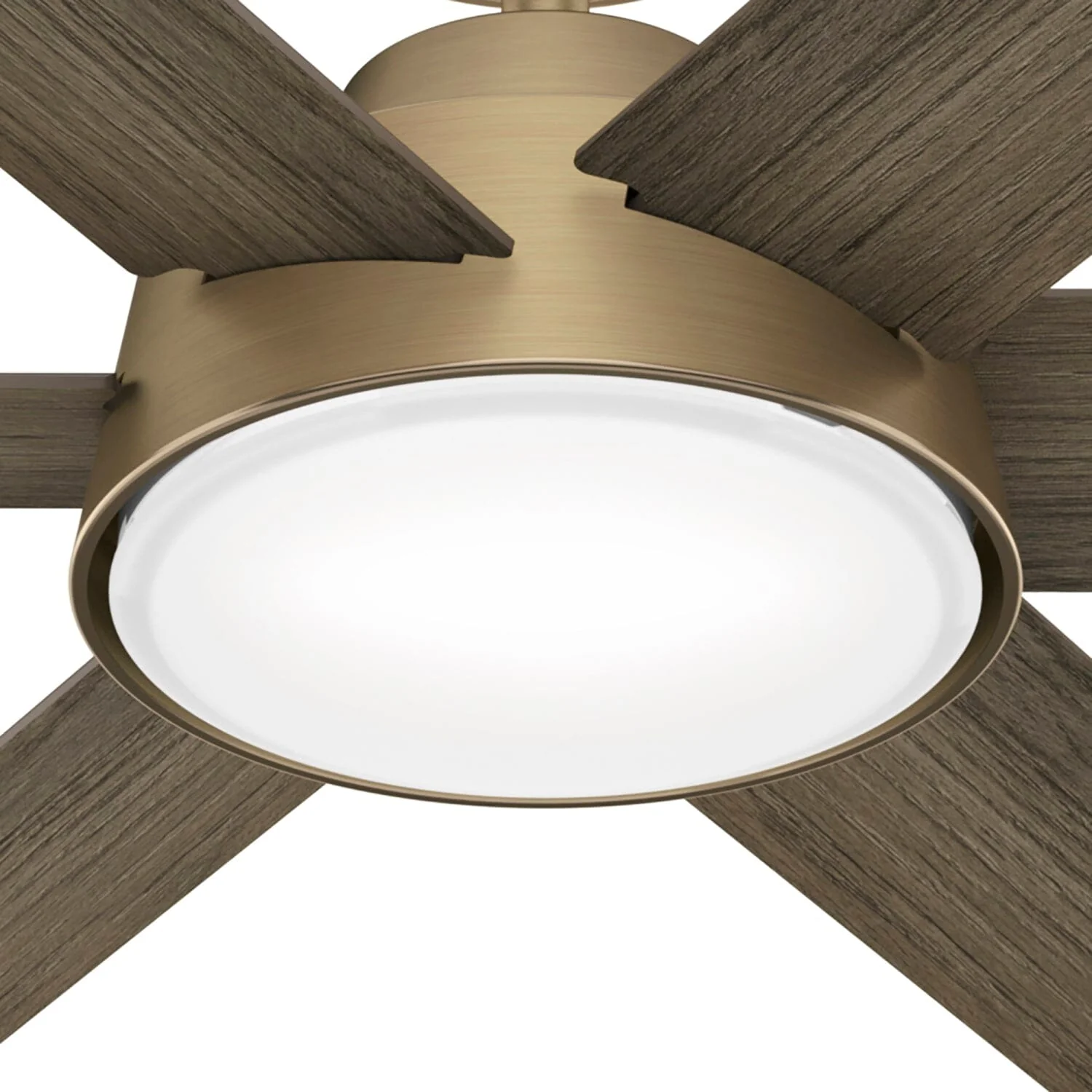 Donatella with LED Light 52inch 21 Donatella with LED Light 52inch
