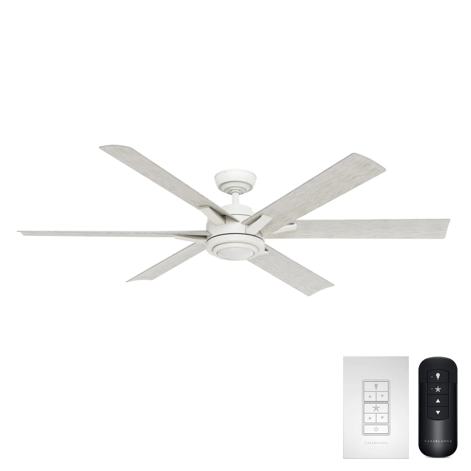 Melia Outdoor ENERGY STAR DC with LED Light 65 inch with remote and wall control