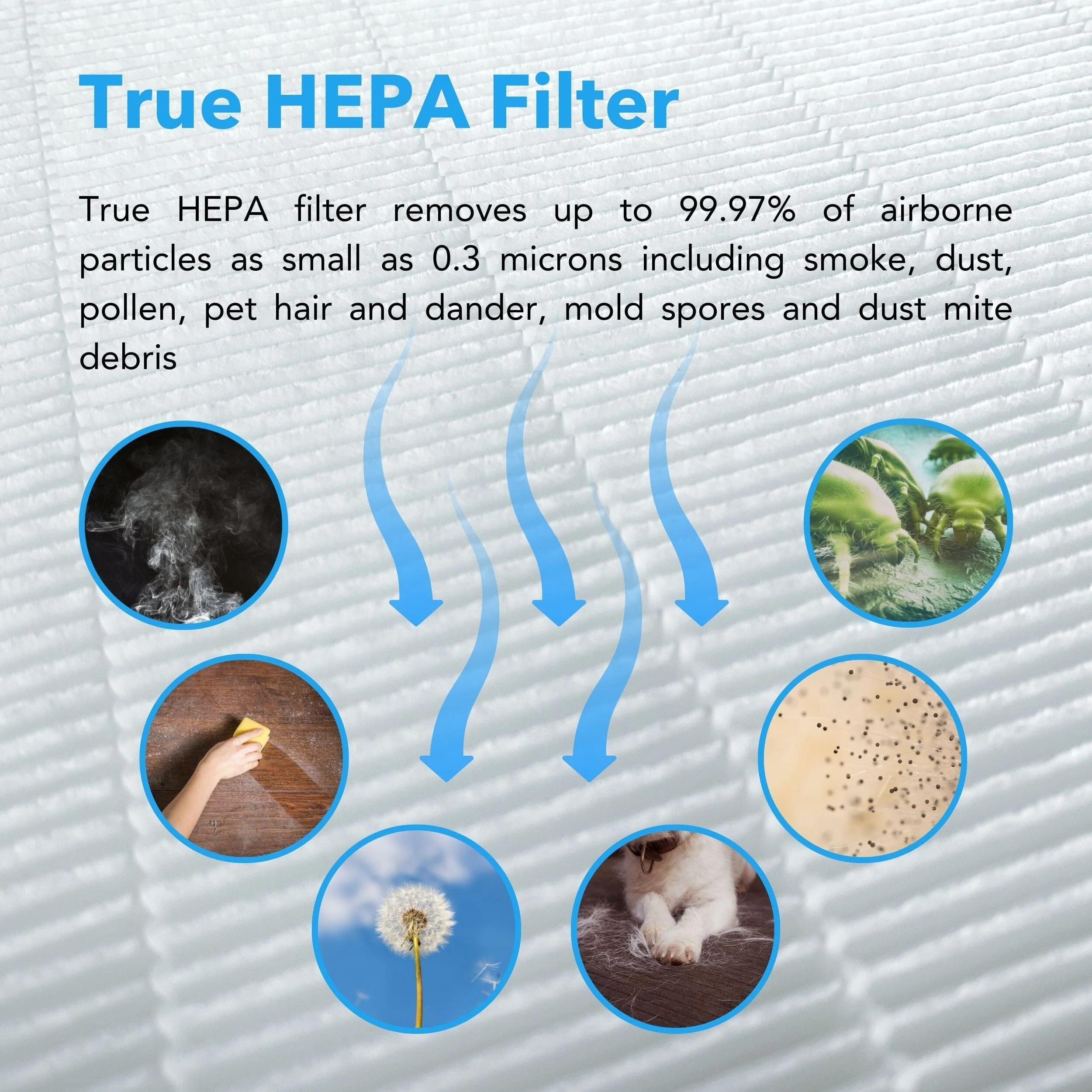 Hunter Fan HP450UV True HEPA UVC Light Technology Air Purifier 5 Hunter Fan HP450UV True HEPA UVC Light Technology Air Purifier