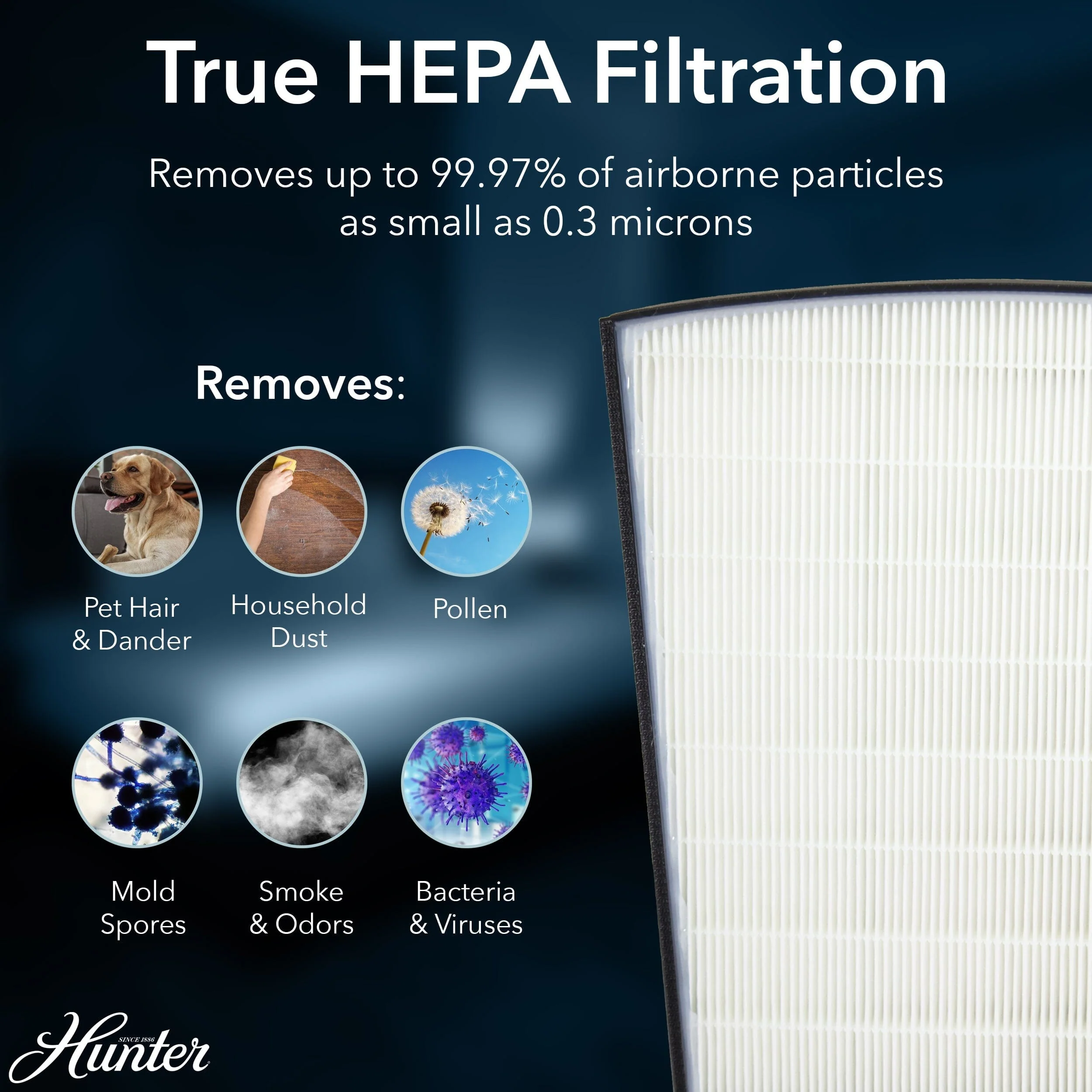 HP800 Multi-Room Large Console Air Purifier 4 HP800 Multi-Room Large Console Air Purifier