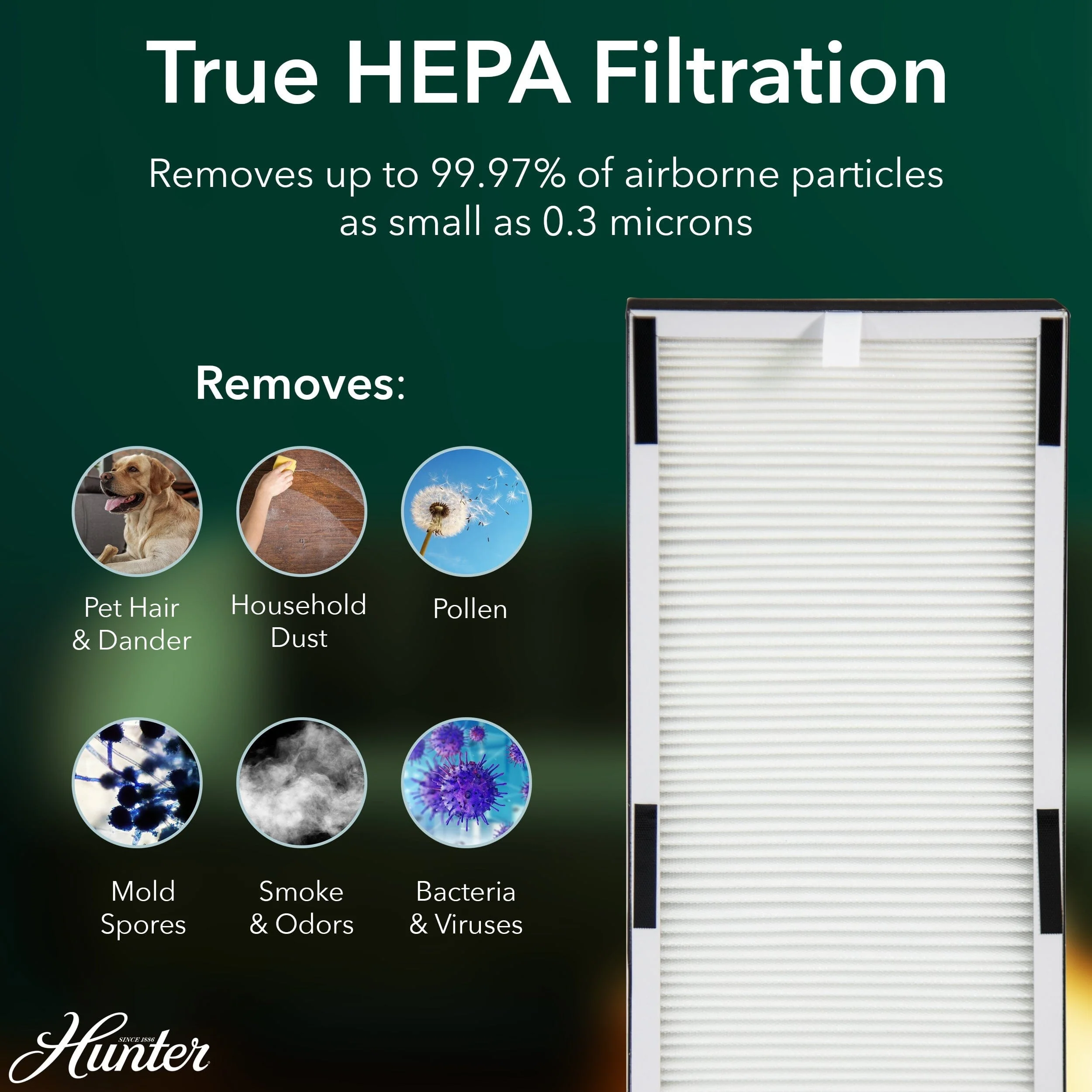 HP600 Tall Tower Air Purifier 4 HP600 Tall Tower Air Purifier