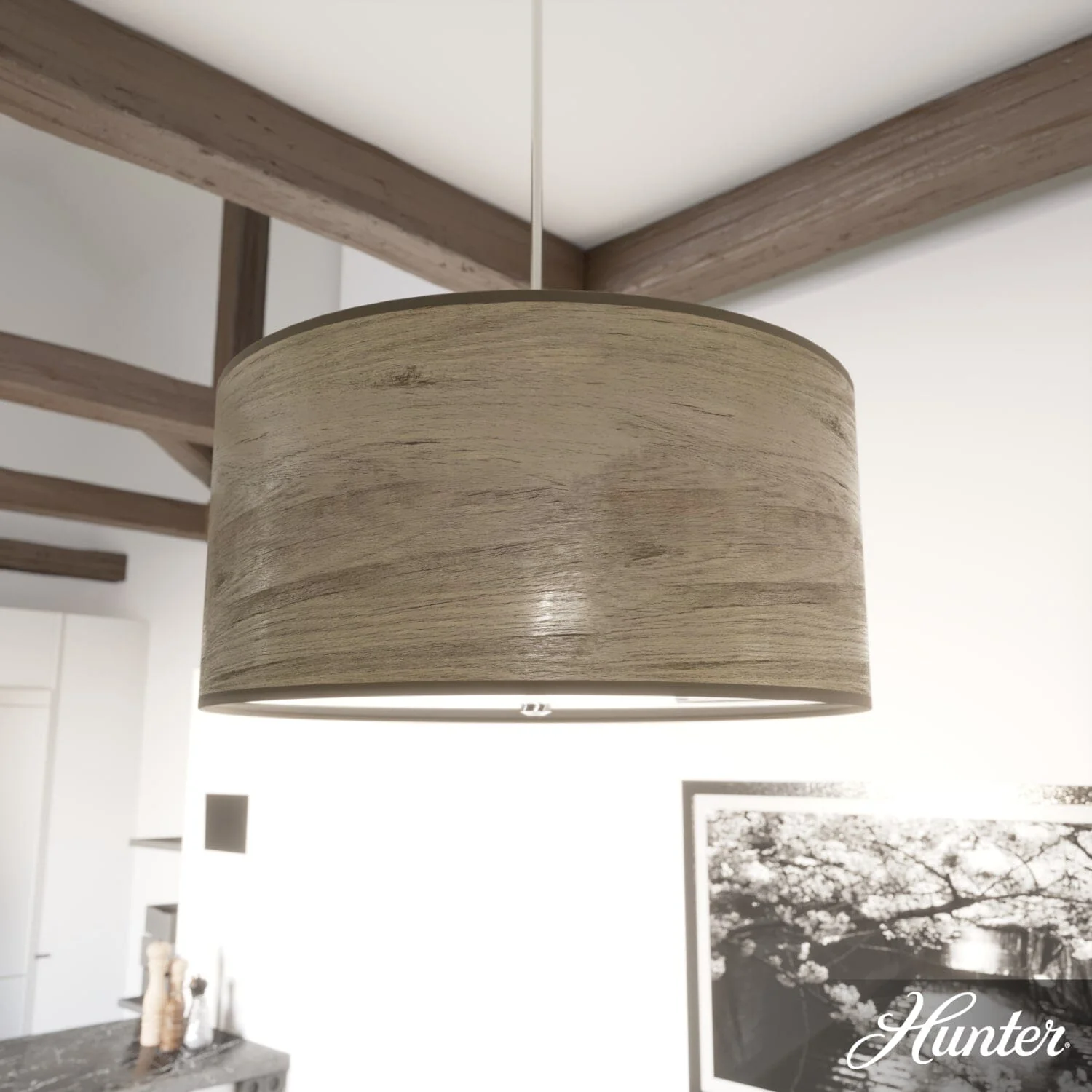 Solhaven Pendant 4 Light 1 Solhaven Pendant 4 Light