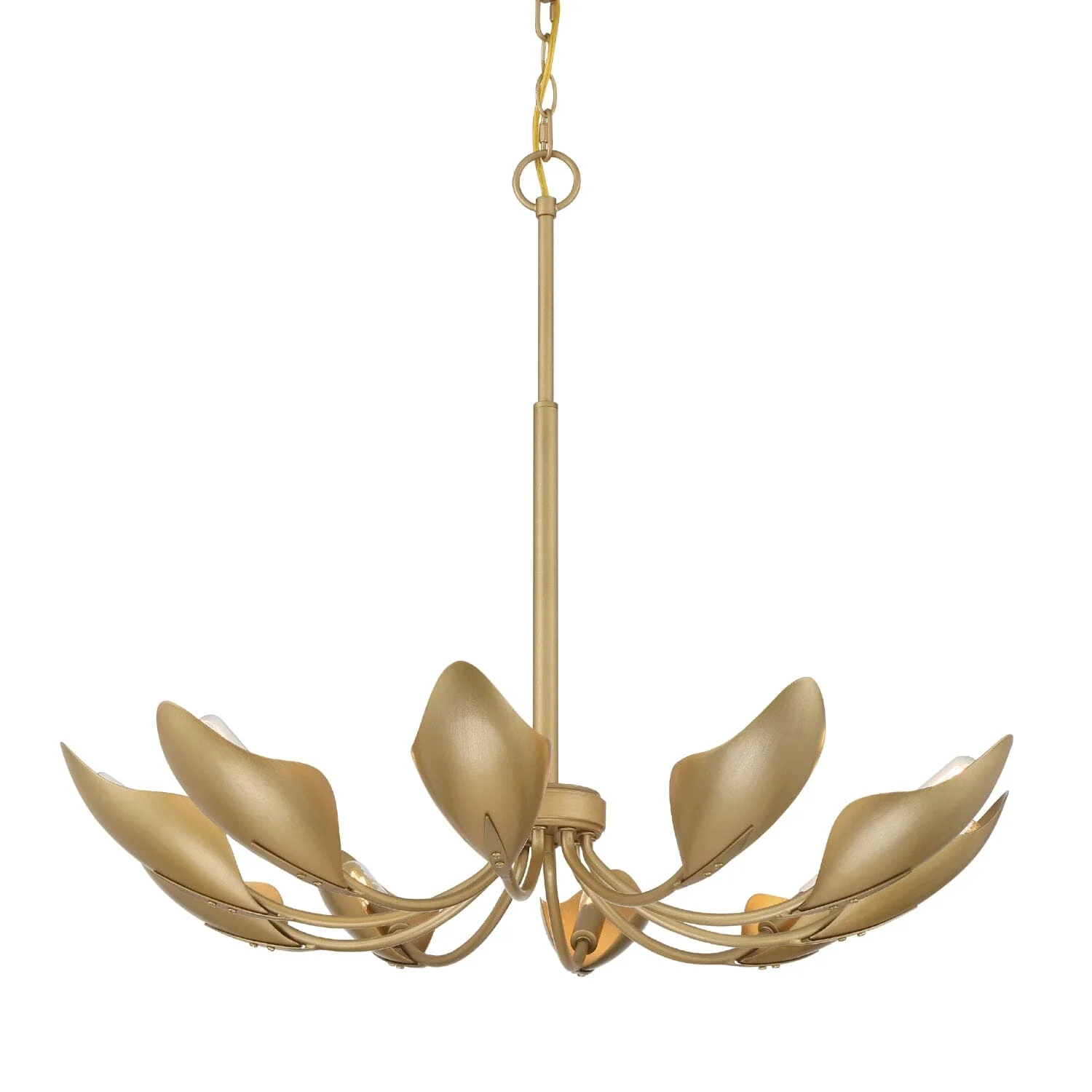 Juneway 10 Light Medium 28 Inch Chandelier 15 Juneway 10 Light Medium 28 Inch Chandelier