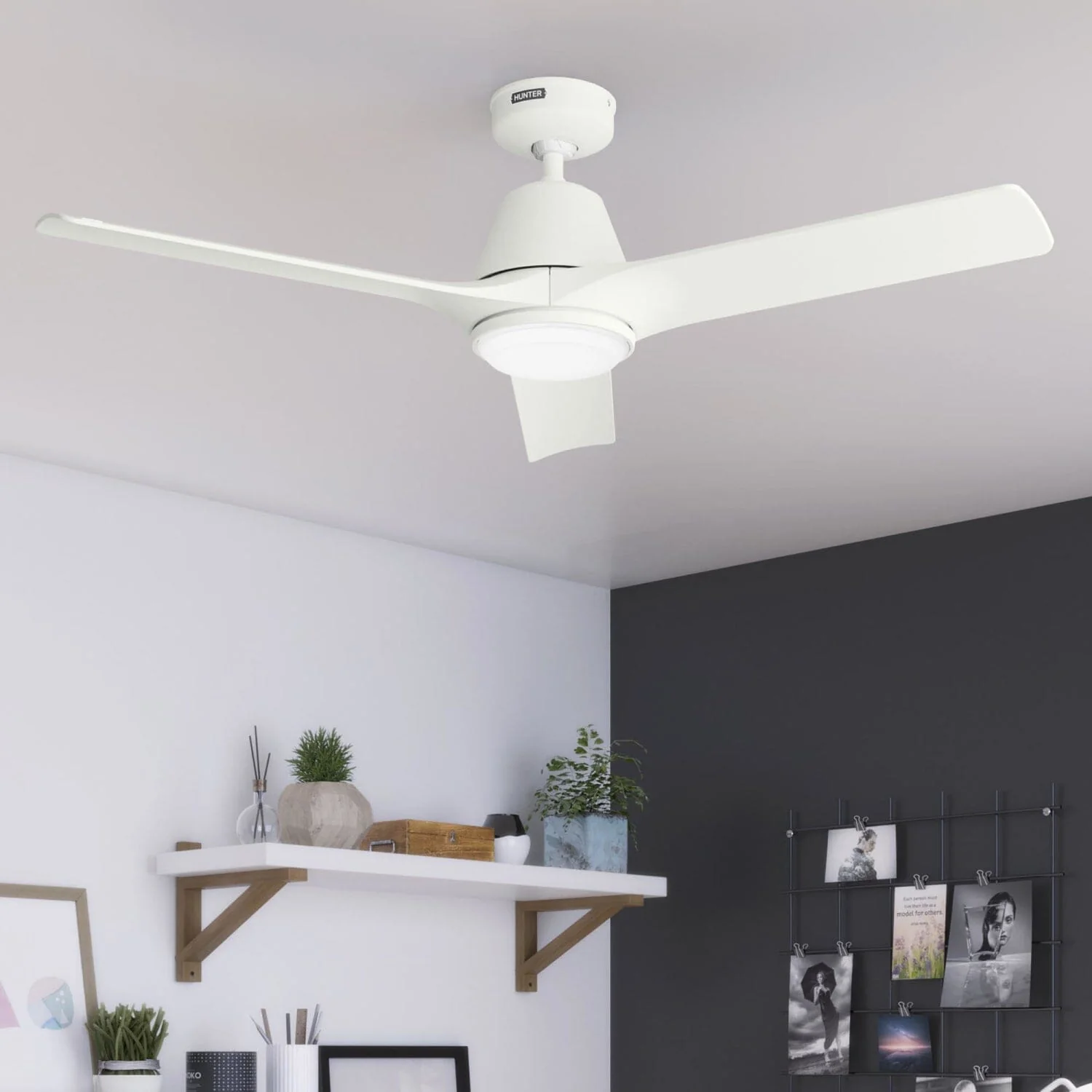 Aeronaut Outdoor Smart Fan with LED Light 52 inch with Remote 604 Aeronaut Outdoor Smart Fan with LED Light 52 inch with Remote
