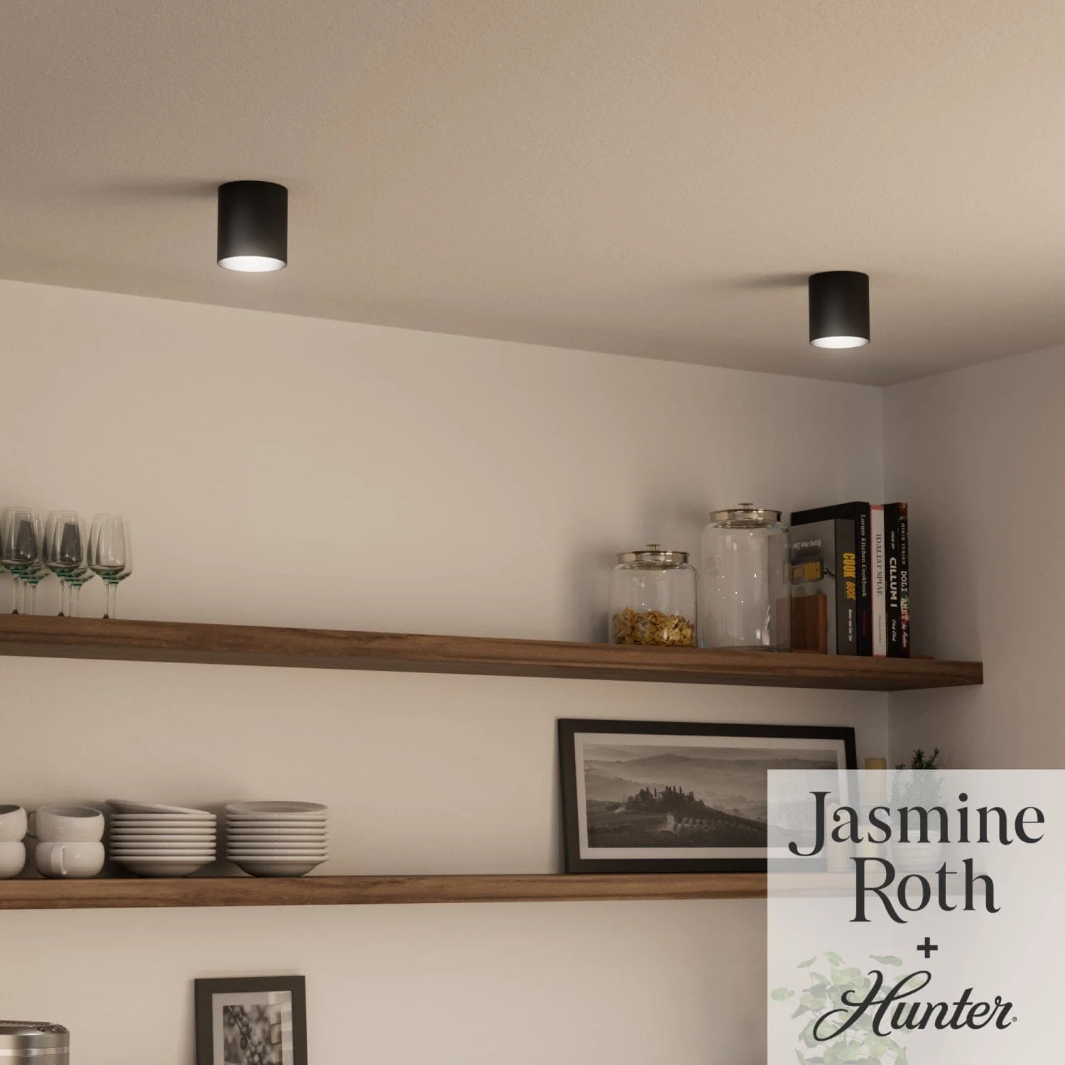 Canoga Jasmine Roth LED Small 6 Inch Flush Can Conversion Kit 4 Canoga Jasmine Roth LED Small 6 Inch Flush Can Conversion Kit