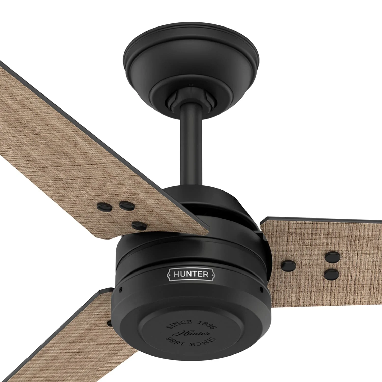 Cassius Outdoor ENERGY STAR 60 inch 56 Cassius Outdoor ENERGY STAR 60 inch