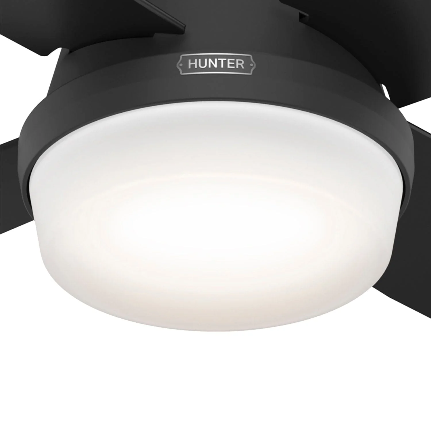 Dempsey Low Profile with Light 52 inch 59 Dempsey Low Profile with Light 52 inch