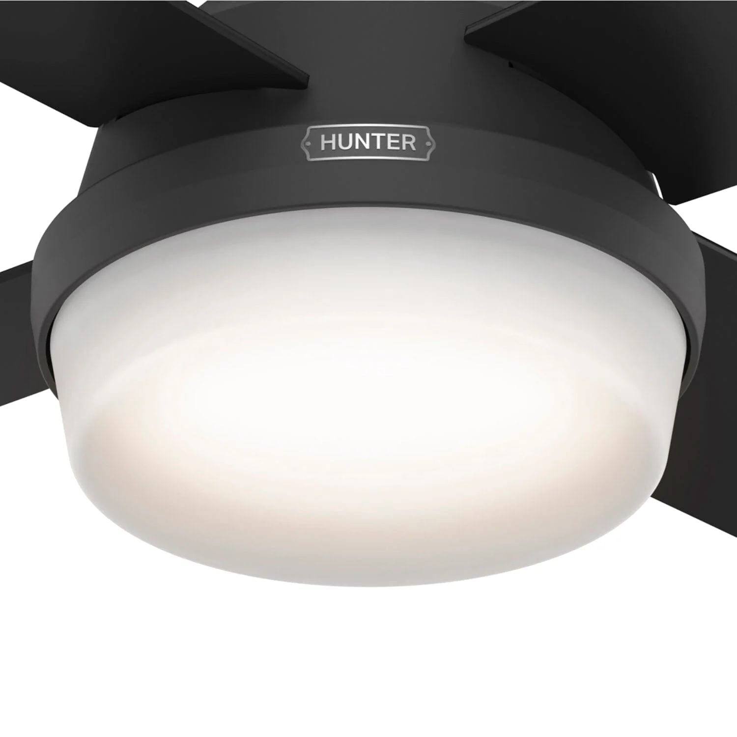Dempsey with Light 44 inch 38 Dempsey with Light 44 inch