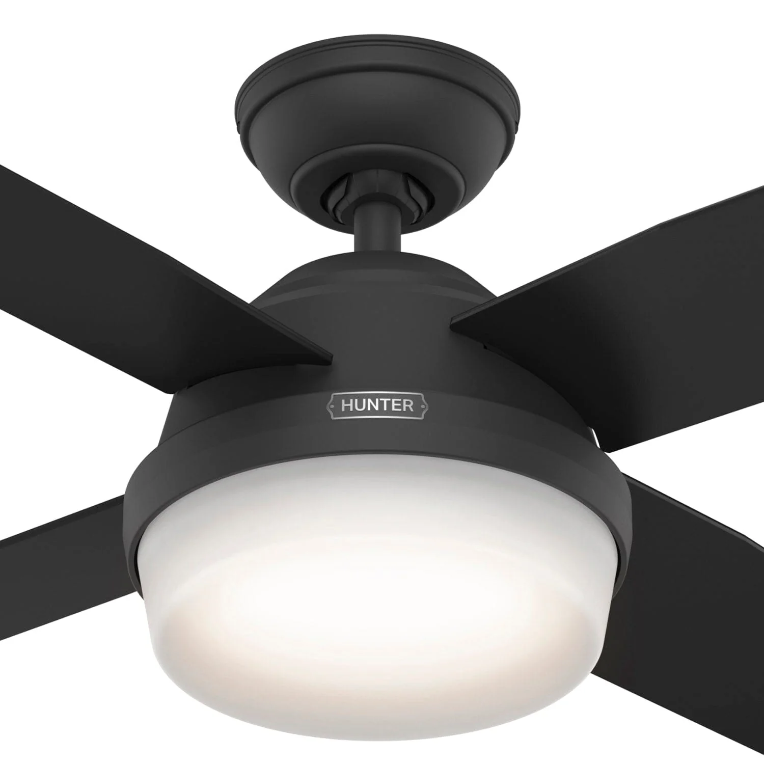 Dempsey with Light 44 inch 50 Dempsey with Light 44 inch