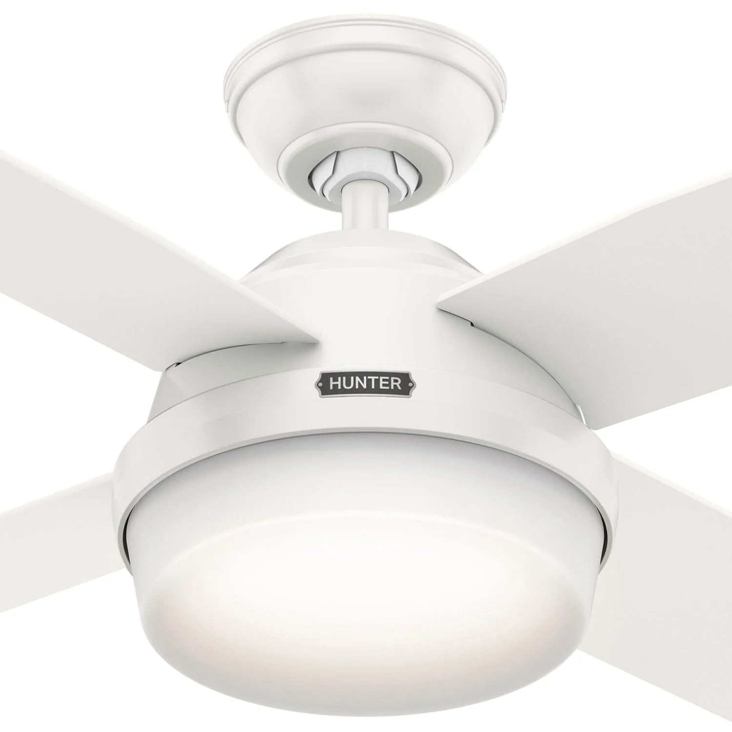 Dempsey with Light 44 inch 52 Dempsey with Light 44 inch
