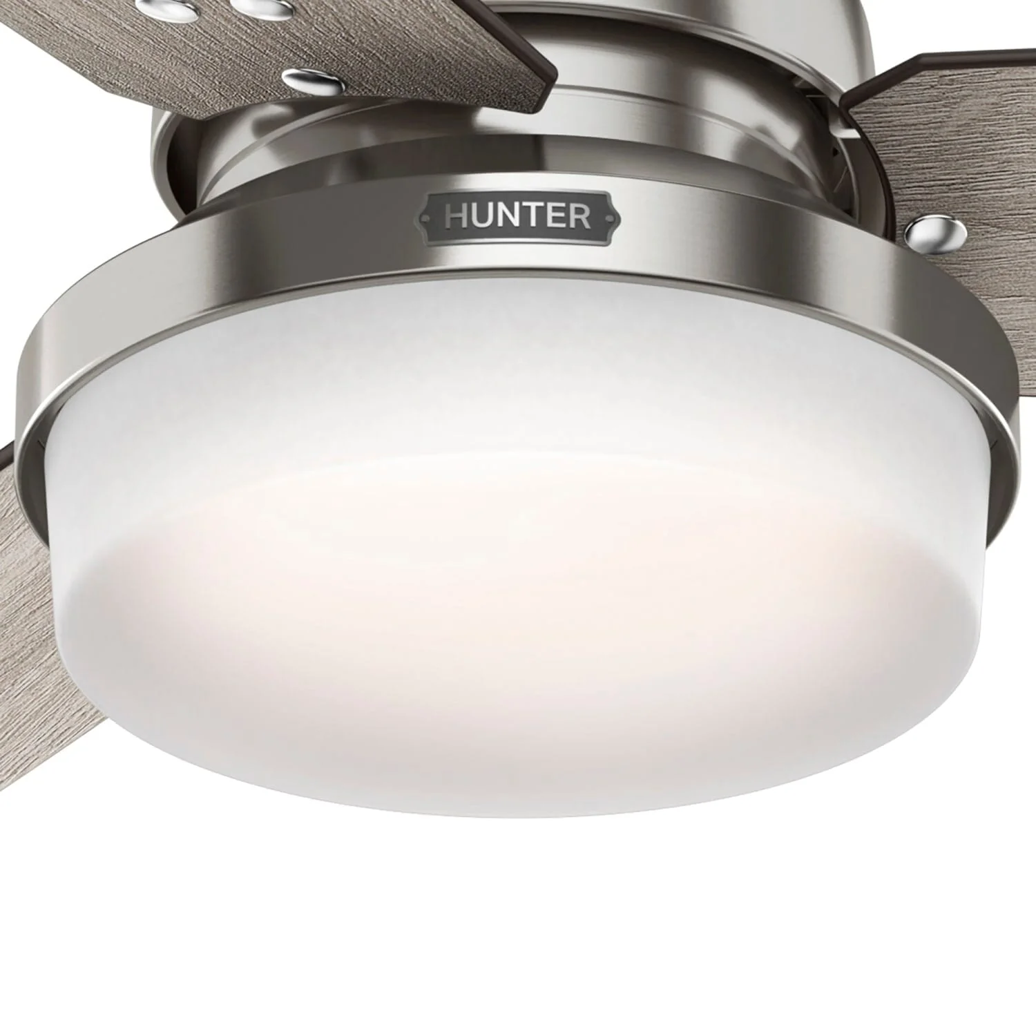 Sentinel with LED Light 52 inch 34 Sentinel with LED Light 52 inch
