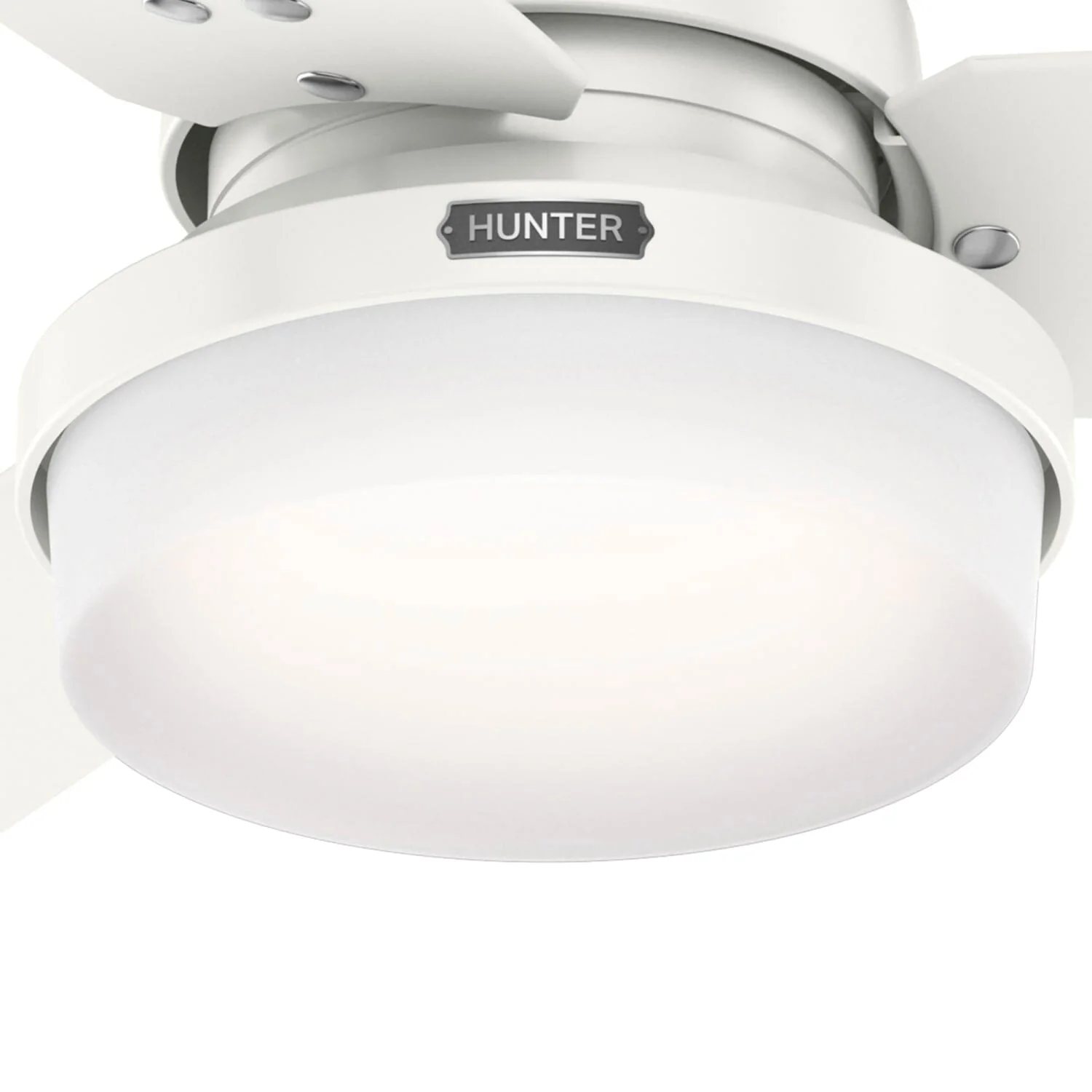 Sentinel with LED Light 52 inch 35 Sentinel with LED Light 52 inch