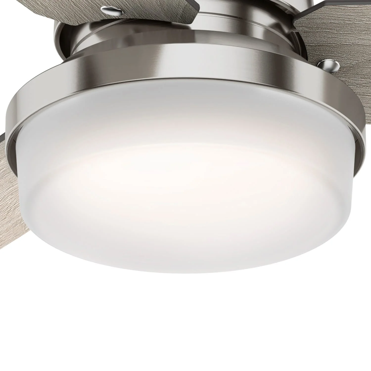 Sentinel with LED Light 44 inch 18 Sentinel with LED Light 44 inch