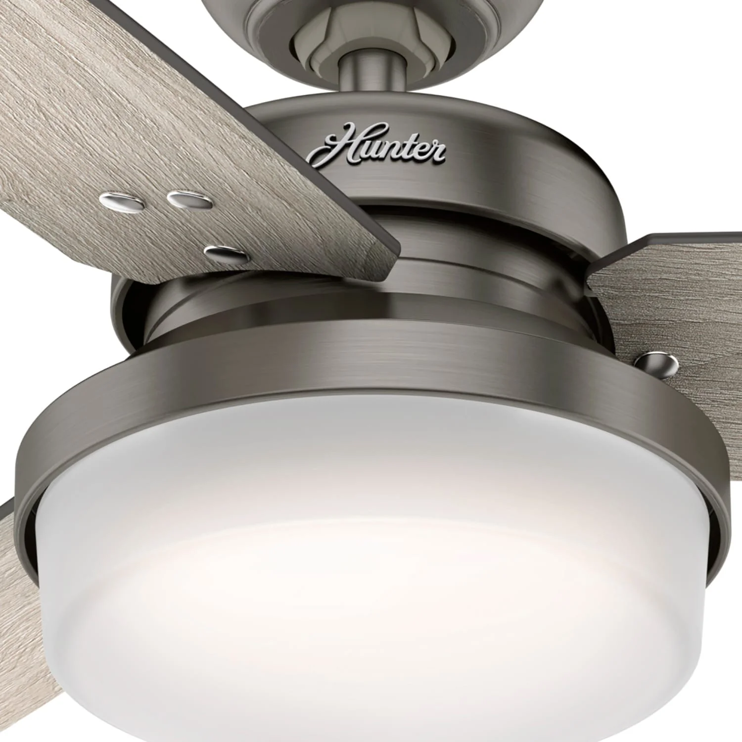 Sentinel with LED Light 44 inch 21 Sentinel with LED Light 44 inch