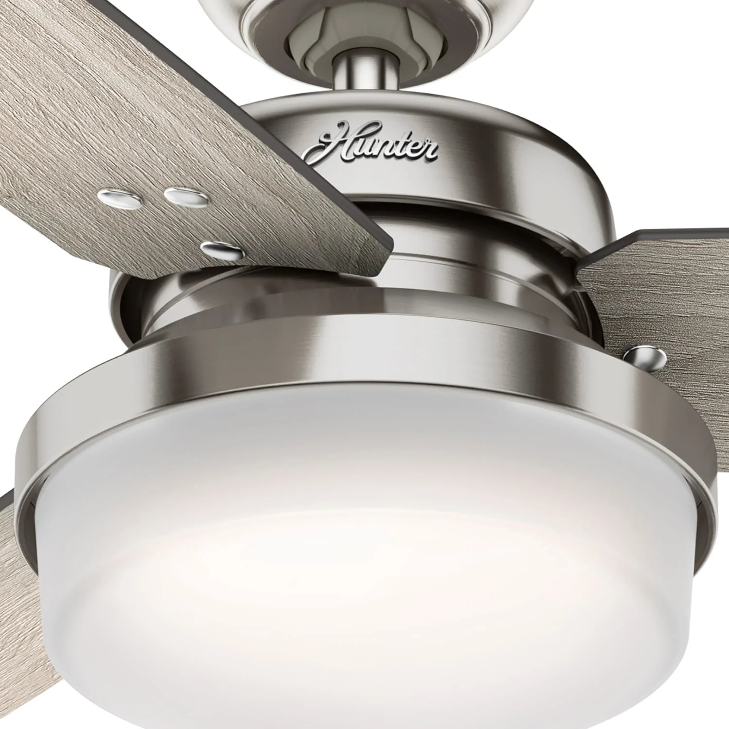 Sentinel with LED Light 44 inch 22 Sentinel with LED Light 44 inch