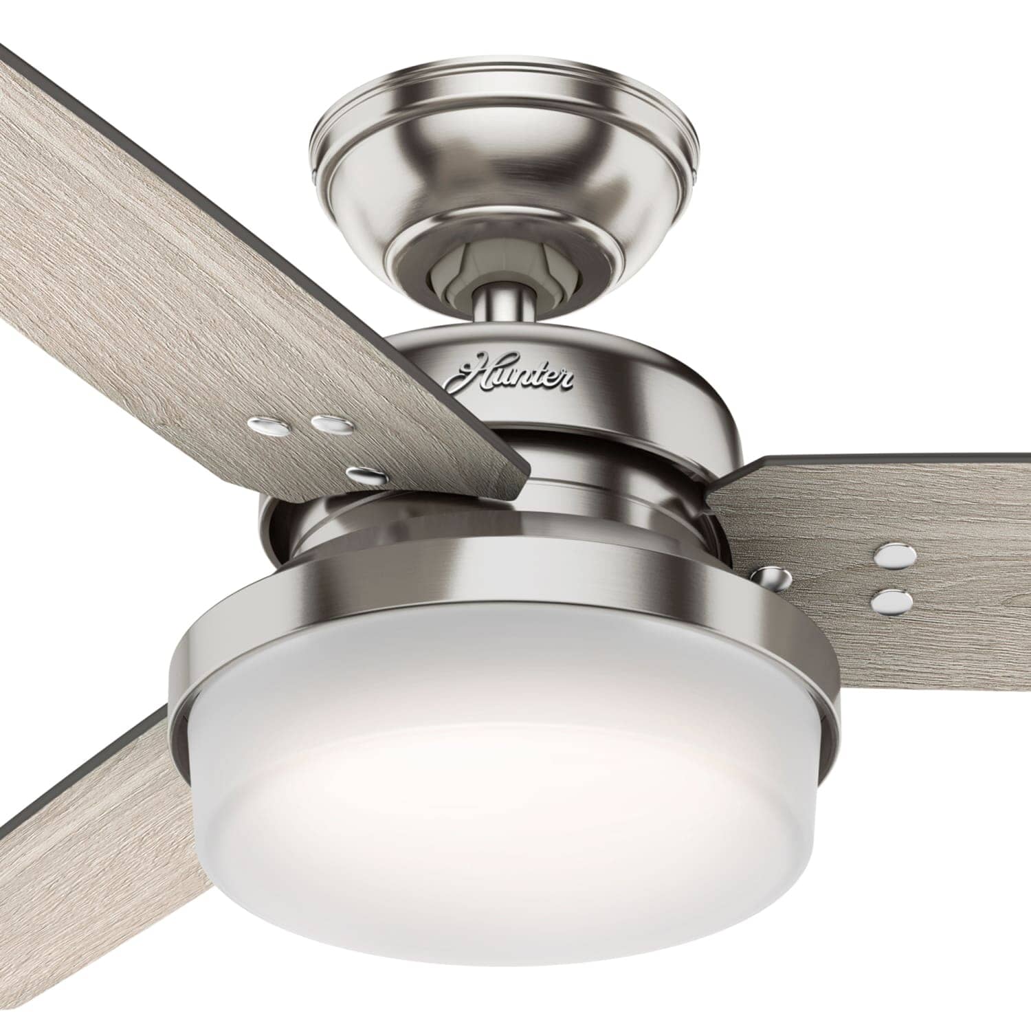 Sentinel with LED Light 44 inch 24 Sentinel with LED Light 44 inch