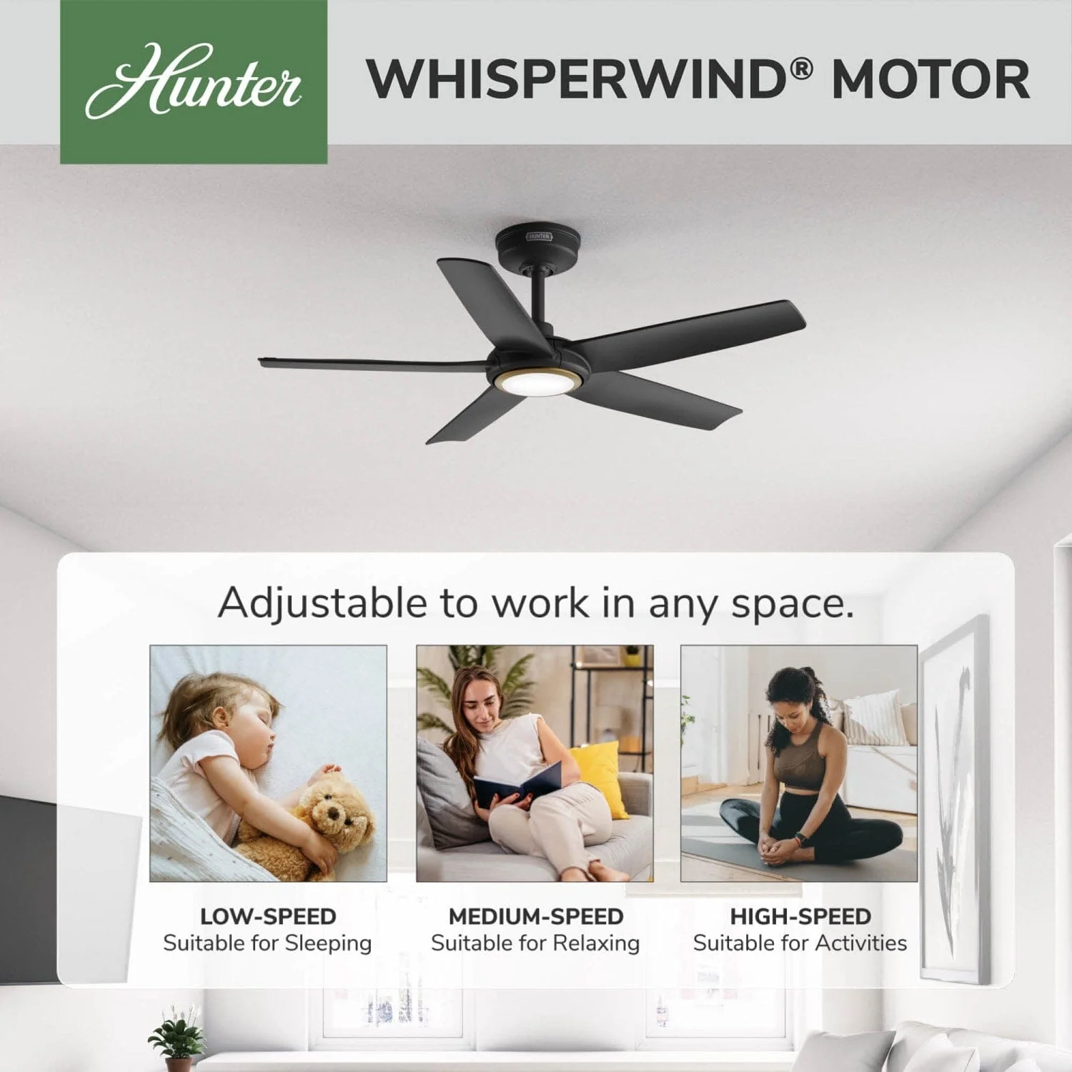 ZenTech 5 Blade Indoor/Outdoor Smart Fan 44in 48 ZenTech 5 Blade Indoor/Outdoor Smart Fan 44in