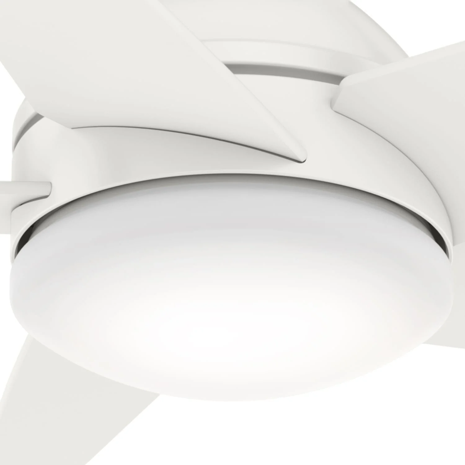 Isotope Low Profile with LED Light 44 inch 28 Isotope Low Profile with LED Light 44 inch